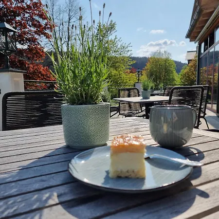 Matschner Готель Рамзау-ам-Дахштайн