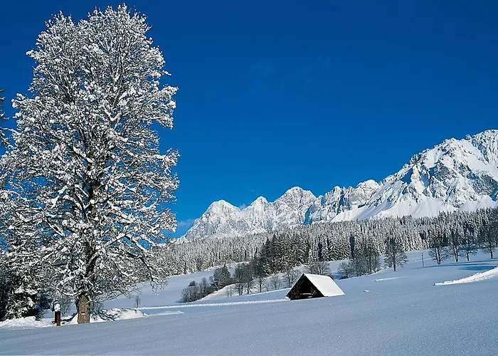 Готель Matschner 4*